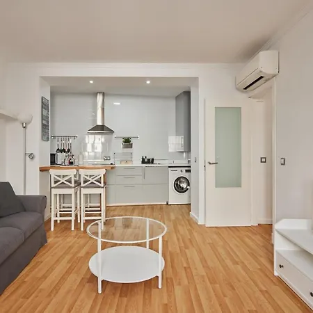 Dulce Arboli Little Cádiz